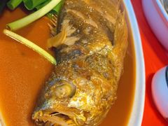 小黄鱼-渔民船说·北塘海鲜·天津菜·海肠捞饭(北塘古镇店)