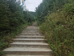 -翠矶山公园