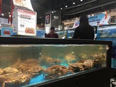 水产区-盒马鲜生(曜一城店)