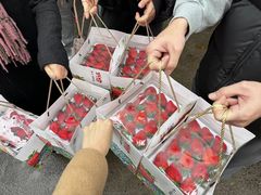 -柒鉦·日式豚骨拉麵(常德路店)