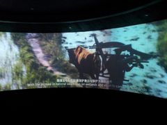 -中国湿地博物馆