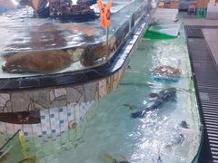 海鲜池-沙田台山海鲜·酣客酒窖