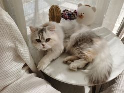 -Beauty Nails 美甲美睫皮肤管理