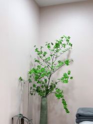 -上海首尔丽格医疗美容医院