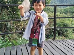 -呀诺达热带雨林