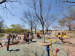 -大兴滨河森林公园