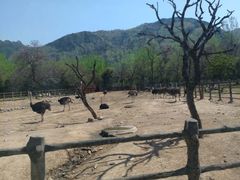 -西安秦岭野生动物园