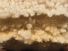 -湖南省地质博物馆