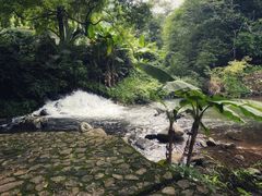 -广州市石门国家森林公园