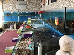 -港畔赶海蒸汽海鲜烧烤自助(仙螺岛店)