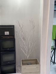 -星宝贝儿童摄影