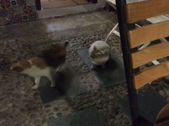 大旅小舍客栈-深圳大旅小舍精品艺术民宿