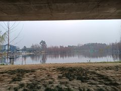 -白鹭湾湿地公园