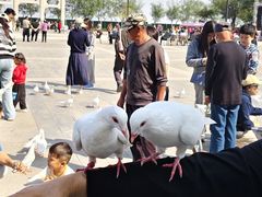 -天津妈祖文化园