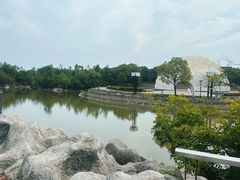 -吴淞炮台湾湿地森林公园烧烤区