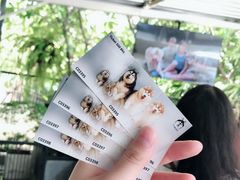 -TrueLove @ Neverland (Husky Cafe)