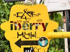 -莓园冰淇淋店