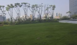 -成都世外桃源酒店-宴会厅·草坪婚礼·会议活动