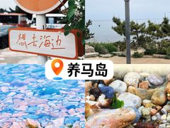 -养马岛旅游度假区