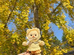 -千年银杏谷文化旅游区