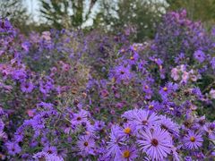 -长春公园(普阳街道)