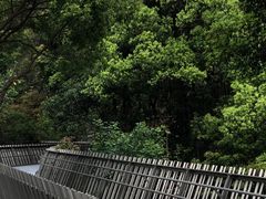 -福道