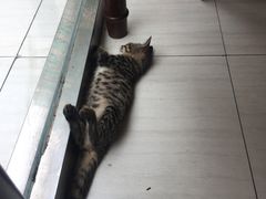 -徐妹串串香(春熙路店)