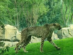 -北京野生动物园