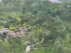 -辛玛王国游乐园