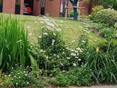 -星巴克(红房子店)