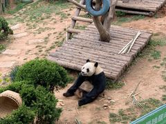 -大连森林动物园