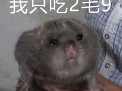 -顺水鱼馆(克西路店)