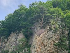 -大连冰峪旅游度假区