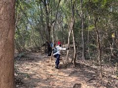 -杭州半山国家森林公园