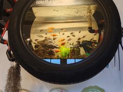 -陶野咖啡·面包披萨