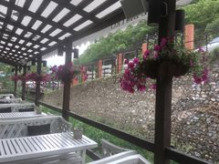 -Local泰莲庭(虹鳟鱼店)