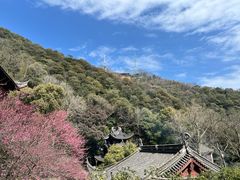 -韬光茶庵