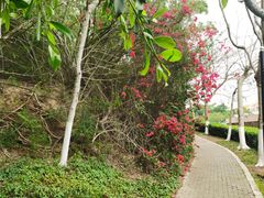 -厦门国家会计学院