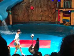 -烟台海昌鲸鲨海洋公园