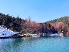 -四明山国家森林公园