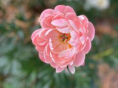 -幕燕滨江·长江观音景区