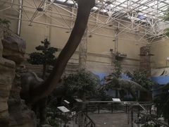 -国家自然博物馆