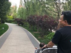 -迎泽公园
