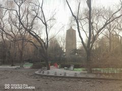 -玲珑塔公园