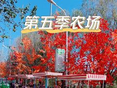 -第五季龙水凤港生态露营农场