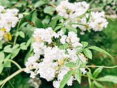 -凯德广场(武胜路店)