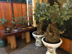 -罗记又添缘竹荪山药鸡·野生菌火锅(西园南路店)