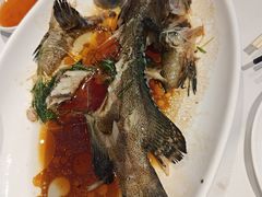-春满园·早茶·粤菜·宴会(前海店)