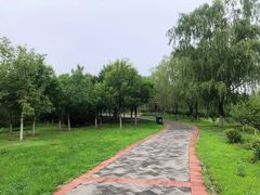 -永定河休闲森林公园