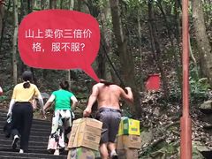 -普陀山风景区-佛顶山